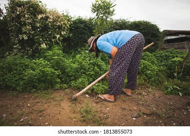 An Elderly Asian Woman Purges The Grass Around The House.