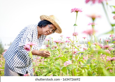 An Elderly Asian Woman Stands In A Flower Garden Enjoying Life After Retirement. Concepts Of The Elderly Community, Health Care