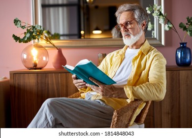 elderly bearded mature man read book at home, enjoy free time alone, sit on chair - Powered by Shutterstock