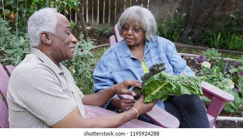 Elderly black couple talking about gardening 