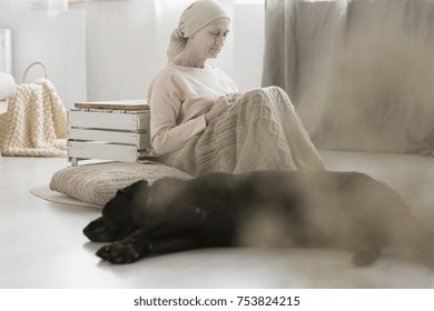 Elderly Cancer Patient During Pet Therapy With Her Black Dog Pupil