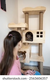 Elderly cat extremely stressed, refusing to leave cat house for first time at animal hotel. Female staff calms pet, speak gently. Care, animal comfort, stress relief, pet transition, animal adaptation