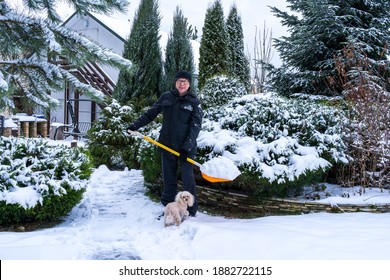 An Elderly Caucasian Man, 61, Shovels Snow After A Snowstorm With An Orange Shovel In A Garden. Healthy Lifestyle Concept In Old Age