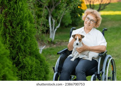 Elderly caucasian woman hugging a jack russell terrier dog while sitting in a wheelchair on a walk outdoors.  - Powered by Shutterstock