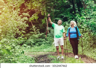 Elderly Couple Admiring Nature And Walking In The Woods. Sportive Lifestyle.