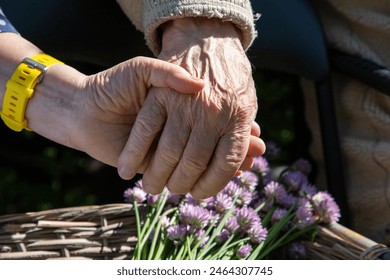 Elderly couple holding hands in a sunny garden. A close-up. Basket with fresh chive flowers on the background.  - Powered by Shutterstock