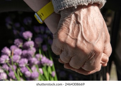 Elderly couple holding hands in a sunny garden. A close-up. Basket with fresh chive flowers on the background.  - Powered by Shutterstock