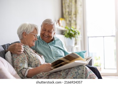 Elderly couple looking at a photo album while sitting on a sofa
 - Powered by Shutterstock