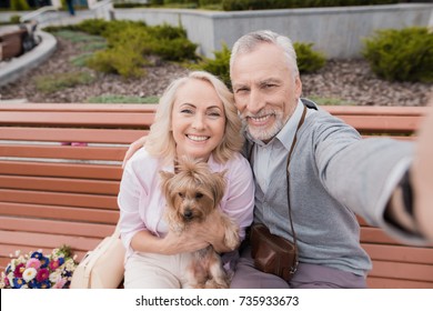 An elderly couple makes selfie on a beautiful square. A woman is holding a small dog in her hands. They are happy. Couple sitting on the bench - Powered by Shutterstock