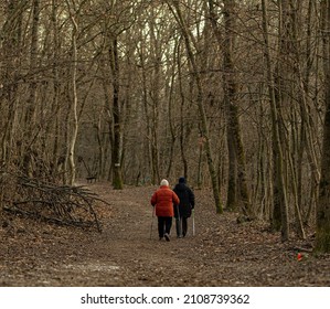 Elderly Couple Nordic Walking In The Forest