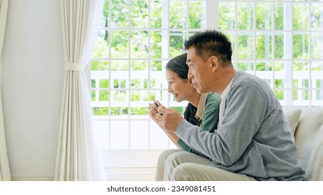 Elderly couple playing a game by operating a gamepad.