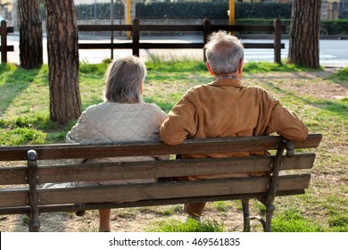 Elderly Couple Sitting On The Bench From Behind In A Sunny Day.