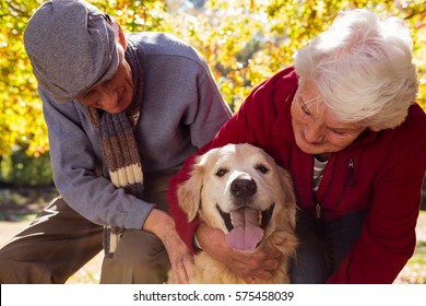 Elderly Couple With Their Pet Dog In The Park