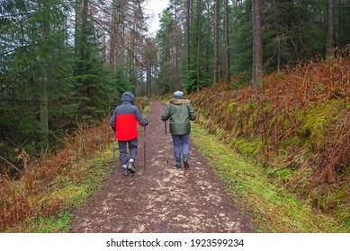 Elderly couple walking along footpath trail through a remote woodland forest in rural countryside landscape in winter