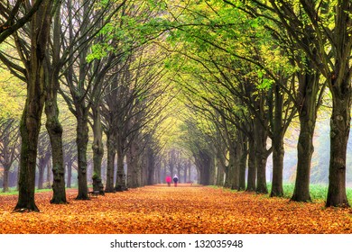 Elderly couple walking in the forest in autumn in het Amsterdamse bos (Amsterdam wood) in the Netherlands. HDR - Powered by Shutterstock