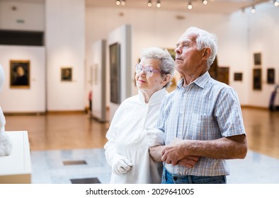 Elderly European Couple Examines Paintings In An Exhibition In Hall Of Art Museum