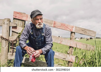 Elderly farm worker sitting relaxing in the sunshine on a wooden fence surrounding a pasture with livestock