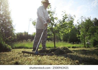 An elderly farmer cleans up the cut hay. A gray-haired man mows the grass in meadow. - Powered by Shutterstock