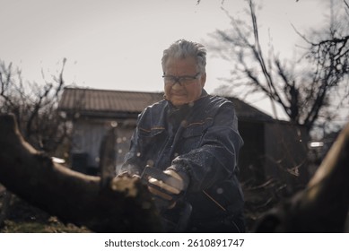 Elderly farmer wearing protective glasses and work overalls using a chainsaw to cut a tree branch in his orchard