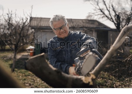 Elderly farmer wearing protective glasses using chainsaw to cut branches in his orchard during sunny spring day