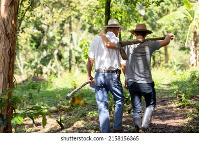 The elderly father and son return home after a hard day's work on the farm. They walk along a green nature trail while carrying their work tools.