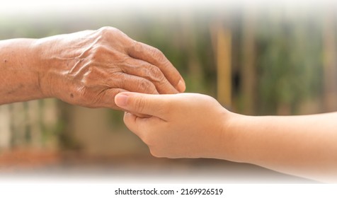 Elderly Female Hand Holding Hand Of Young Caregiver At Nursing Home. Carer Hold Elder Hand In Hospice Care. Philanthropy Kindness To Disabled Concept.