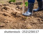 Elderly gardener digging soil with a garden fork to cultivate soil ready for planting, autumn gardening