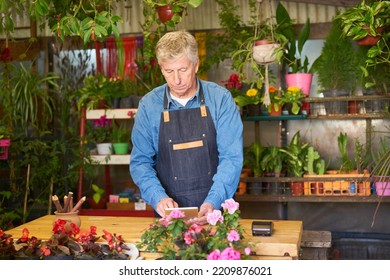 Elderly Gardener As Owner In The Flower Shop With Tablet Computer At The Inventory