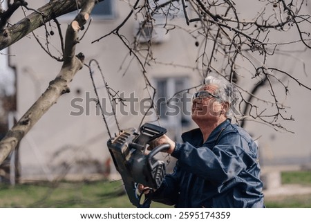 Elderly gardener using a chainsaw to prune tree branches, ensuring garden maintenance and tree care during a sunny day