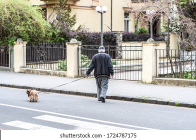 Elderly Grandfather Walking A Pekingese Dog On A Leash Alone In An Empty City. Danger Of Infection With Coronavirus Covid-19. Quarantine Spring Flowering. To Point With A Finger. Old Man Backs