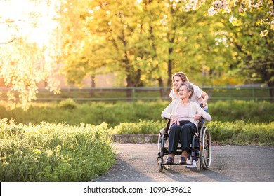 Пожилая бабушка в инвалидной коляске с внучкой на весенней природе.