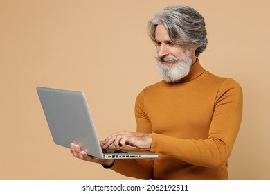 Elderly Gray-haired Mustache Bearded Man 50s In Mustard Yellow Turtleneck Shirt Hold Use Work On Laptop Pc Computer Isolated On Plain Pastel Beige Background Studio Portrait. People Lifestyle Concept