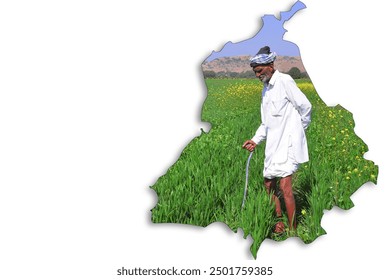 Elderly Indian farmer inspecting his wheat field. Greenery of Indian farms. spring crop - Powered by Shutterstock