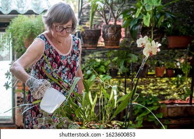 Elderly Lady With Flowery Dress, Watering The Plants In Her Garden.