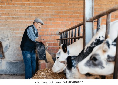 An elderly man in a flat cap and vest meticulously scatters feed for a line of attentive cows inside a barn. - Powered by Shutterstock