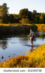 Elderly Man Fly Fishing In A River