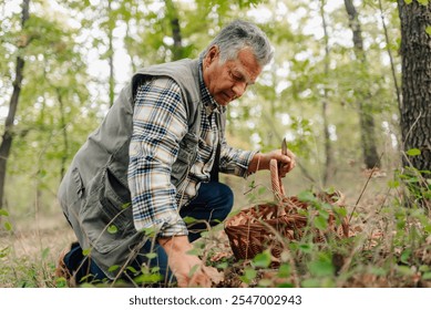 Elderly man foraging for mushrooms in woodland, using a knife and wicker basket, enjoying a peaceful autumn day outdoors - Powered by Shutterstock