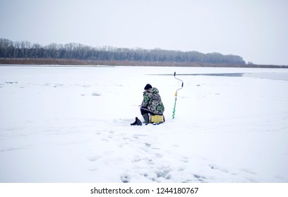 Elderly Man With Glasses, Fishing In Winter, Pulls Fish Out Of The Ice