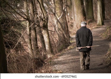 Elderly Man Going Away In Park. Toned