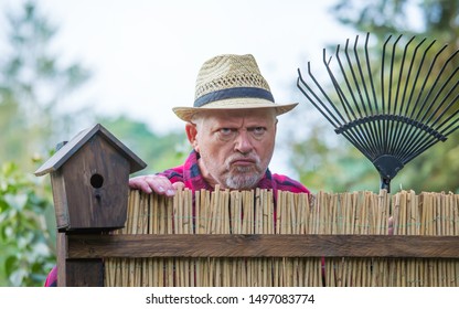 An elderly man with hat looks angry and watching over a garden fence. Concept problems with the neighborhood.