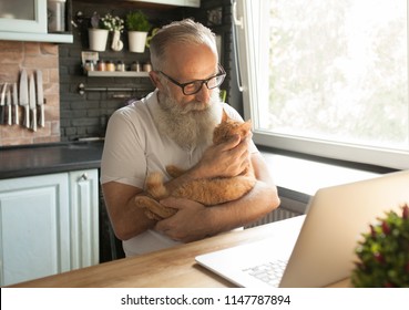 Elderly Man With His Cat Working On Laptop, Smiling, Looking At Screen.