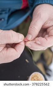 An Elderly Man Is Ice Fishing And He Is Putting A Bait On A Hook.