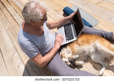 An Elderly Man Is Playing With A Dog Sitting On The Terrace And Working At The Computer After Yoga Classes. Top View