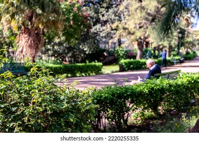 Elderly Man Sitting On A Park Bench