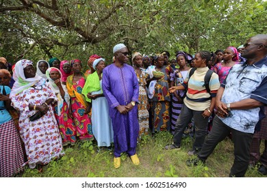 Elderly Man Speaking During A Meeting In Talto Djega-Saré Diallo Village, Kolda Region, Senegal, West Africa. October, 11, 2019. Community Of African People Discussing Together In The Countryside.  