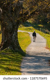 Elderly Man Walking Away On A Path In The Park In Autumn