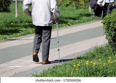 Elderly Man Walking With A Cane In A City Spring Park. Concept Of Limping, Diseases Of The Spine