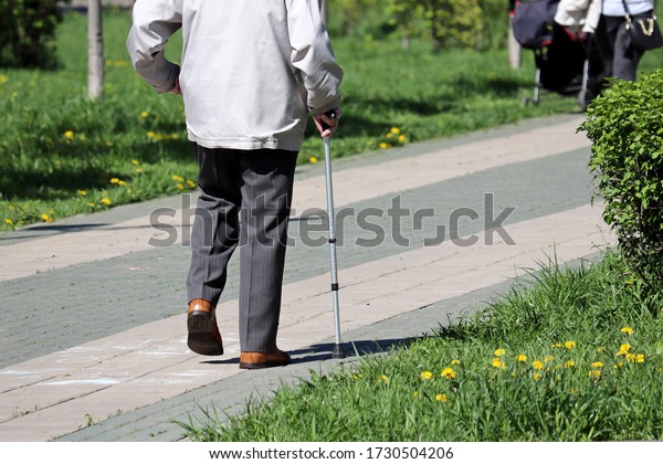 Elderly man walking with a cane in\
a city spring park. Concept of limping, diseases of the\
spine