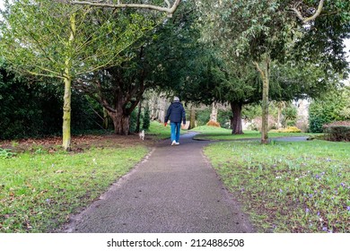 An Elderly Man Walking His Dog Through A Beautiful Park In A Suffolk Town