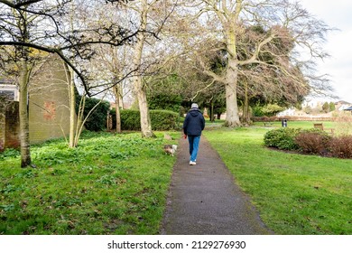 An Elderly Man Walking His Dog Through A Beautiful Park In A Suffolk Town